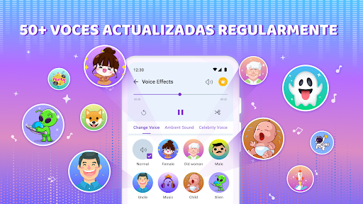 Vista previa de la aplicación