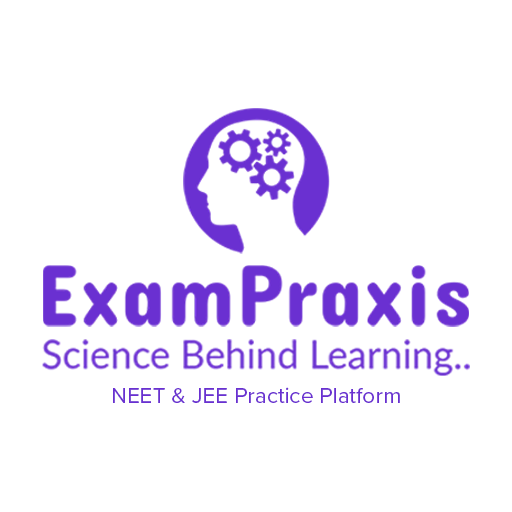 Exam Praxis logo