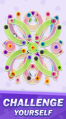 Game screenshot Screw Match apk download