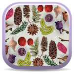 Cover Image of Download Dried Botanicals Key  APK