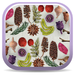 Cover Image of ดาวน์โหลด Dried Botanicals Key  APK