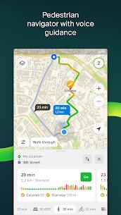 2GIS: Offline map & Navigation 6.36.0.543.17 버그판 5
