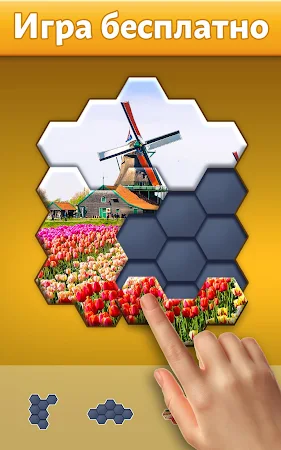 Game screenshot Hexa Jigsaw Puzzle ® apk download