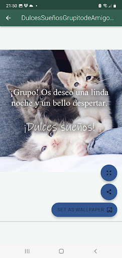 Buenas Noches Grupo Colegas Screen 2