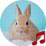 Rabbit sounds ~ Sboard.pro icon