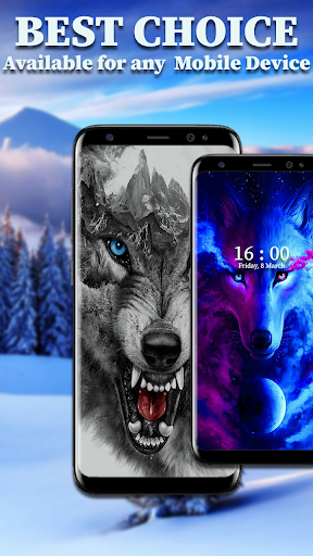 Wolf Wallpaper HD Screen 3