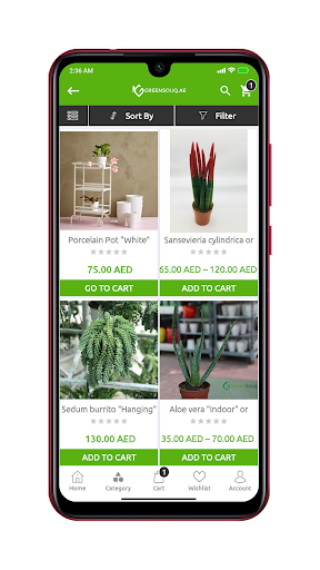 Green Souq Screen 3