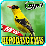 Kicau Burung Kepodang Emas Mp3 icon