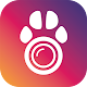 PetCam App - Monitor de Perro Descarga en Windows
