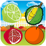 Onet Fruit HD 2016 icon
