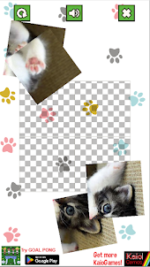 Cute Kitty Cats Puzzle