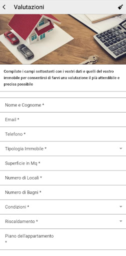 Agenzia Mantovaffare Screen 2