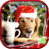 Christmas Dogs Live Wallpaper icon