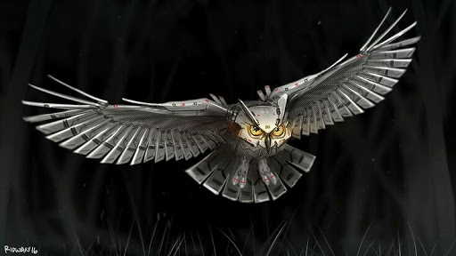 Pet for Free-Free Live