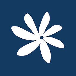 Air Tahiti Nui: Download & Review