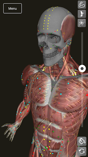 3D Counterstrain Screen 2