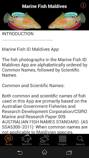 Marine Fish ID Maldives Screen 2