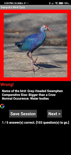 Bird Quiz by Danyck Screen 2