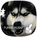 Funny Husky launcher theme icon