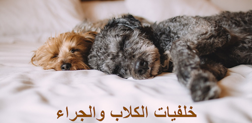 خلفيات الكلاب والجراء التطبيقات على Google Play