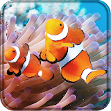 Clownfish 3D Live Wallpaper icon