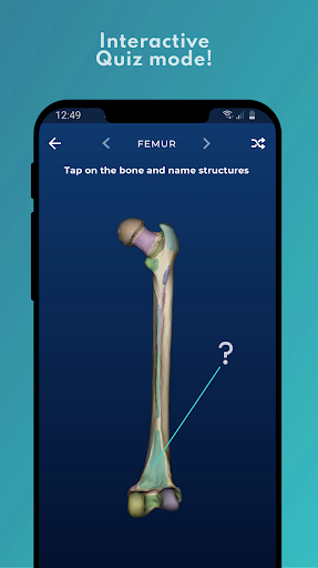 Skelviewer: 100% bone markings Screen 3