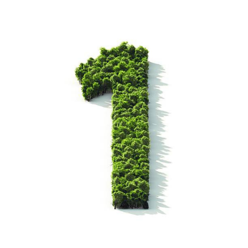 Sum of Natural Numbers logo