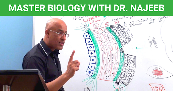 Biology with Dr. Najeeb Apk app for Android 1