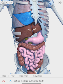 Visual Anatomy 3D - Human - Apps On Google Play