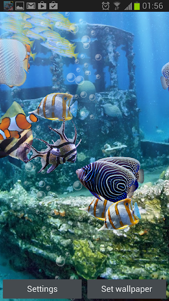 The real aquarium - LWP 2.30 APK + Mod (Remove ads) for Android