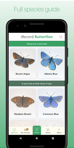 Android application iRecord Butterflies screenshort