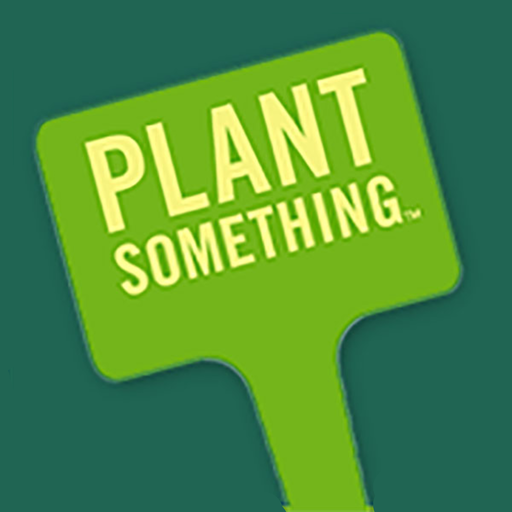 Plant Something  Icon