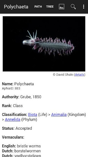 Deep Sea ID Screen 3