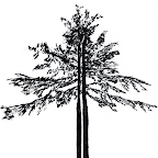 Spiritual Money logo