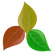 Plantassoc - companion planting  Icon
