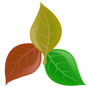 Plantassoc - companion planting 4.2 Icon