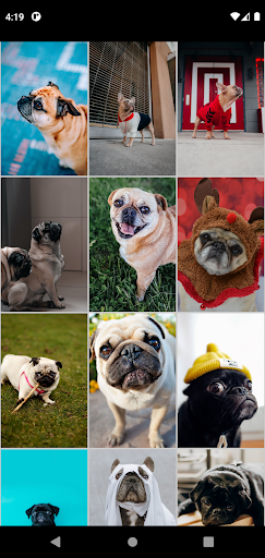 Android application Pug Wallpapers screenshort