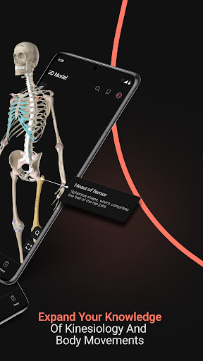Anatomy by M&M Screenshot 3 - AppWisp.com