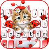 Cute Ladybird Kitten Keyboard Theme icon