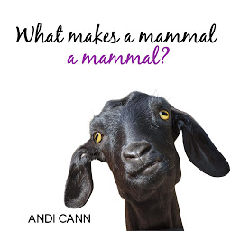Obraz ikony: What Makes a Mammal a Mammal?