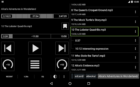 Simple Audiobook Player Apk 1.7.16 (Full Paid) 6