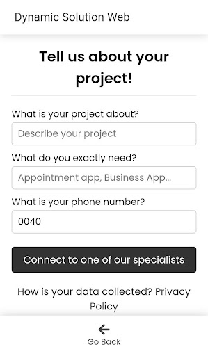 Dynamic Solution Web Chat Screen 2