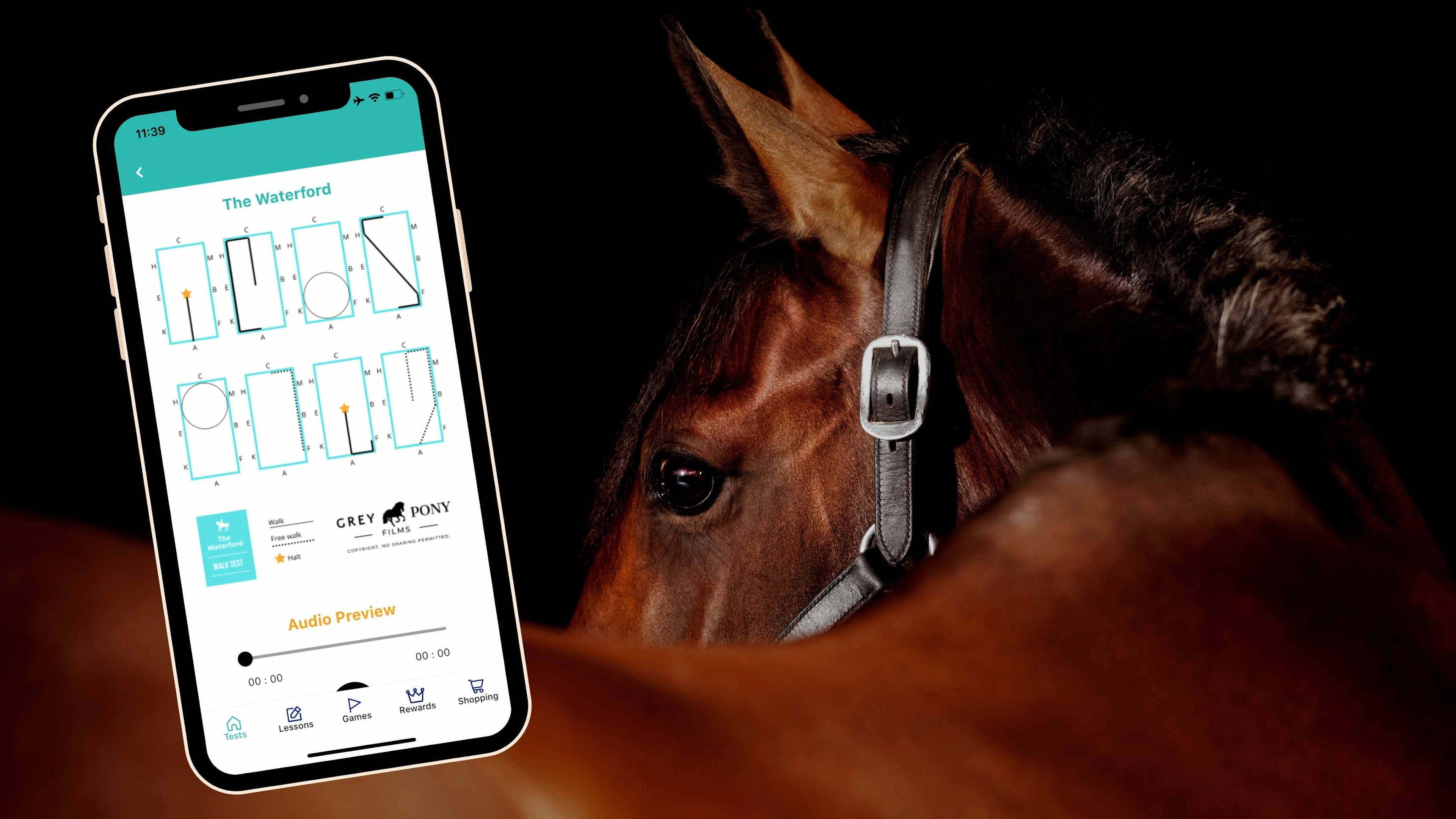 My Horse – Apps no Google Play