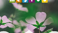 Glückwunsch Und Grüße App