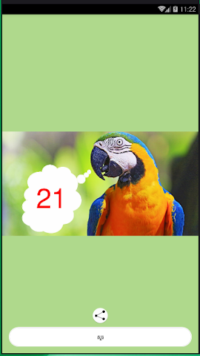 Ask The Parrot Screen 2