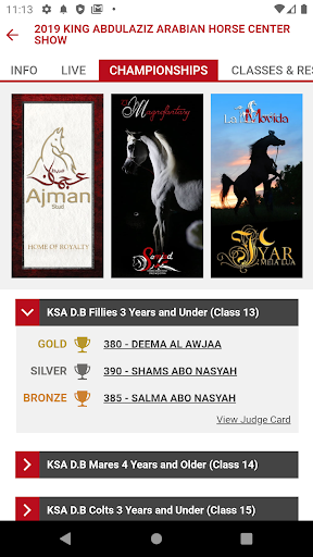 Arabian Essence TV Screen 3