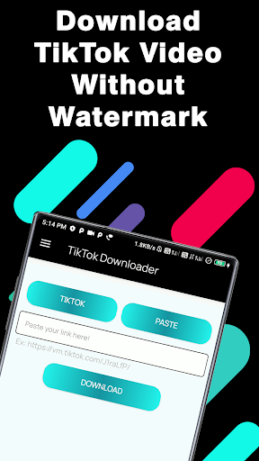 TikTok Video Downloader