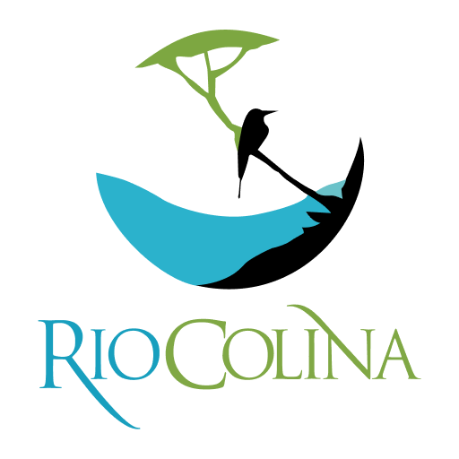 Rio Staff logo