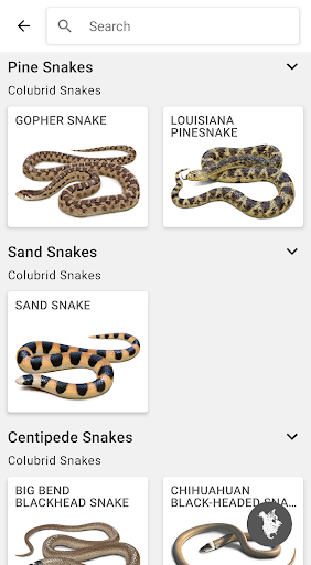 Reptiles & Amphibians of NA Screen 2