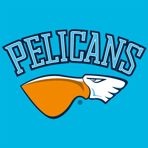 Pelicans  Icon